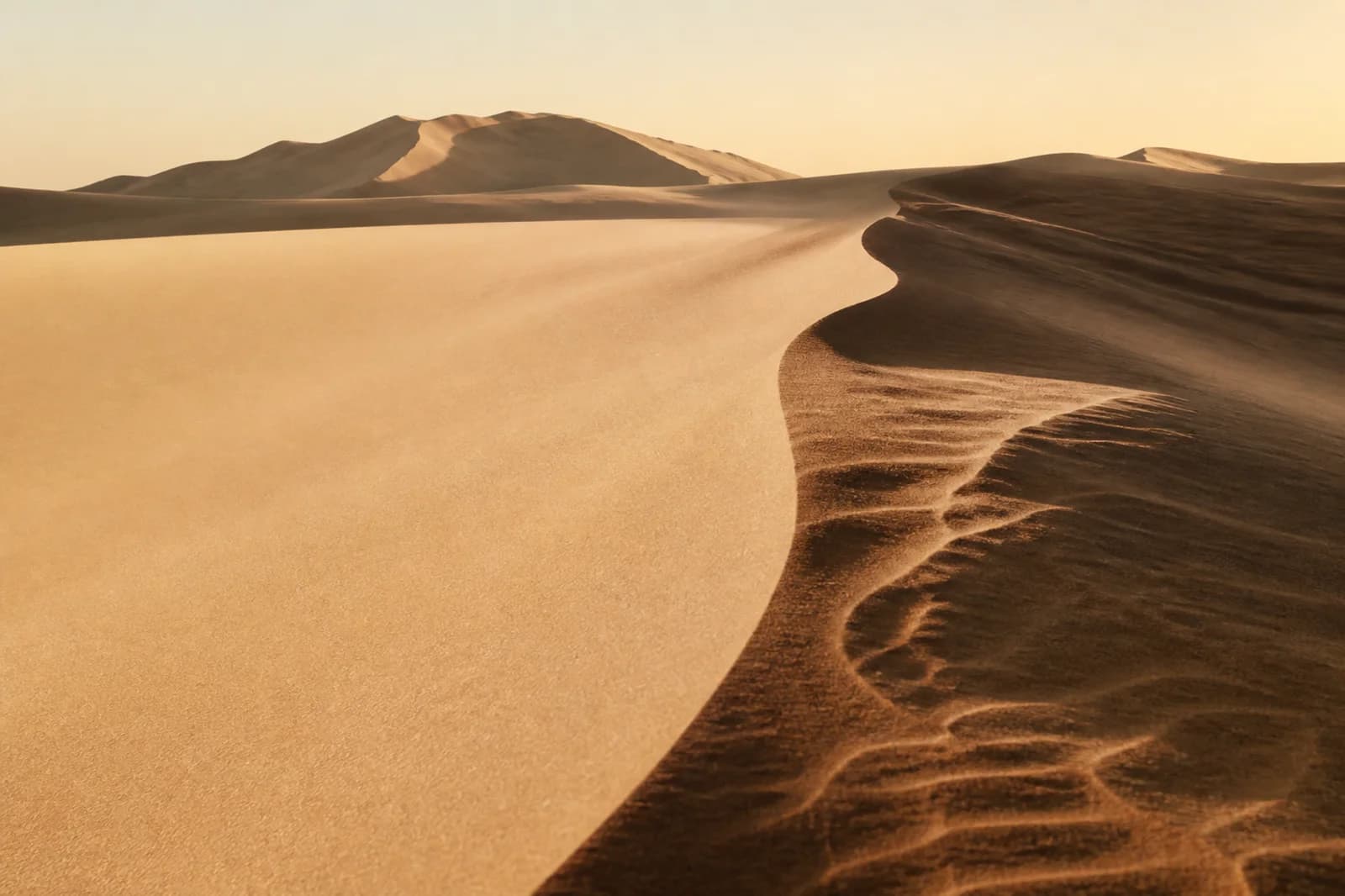 Premium editorial background with wind-carved dunes, low sunlight, and sculptural sand contours